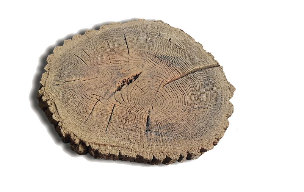 Płyta tarasowa Deckhouse Pień