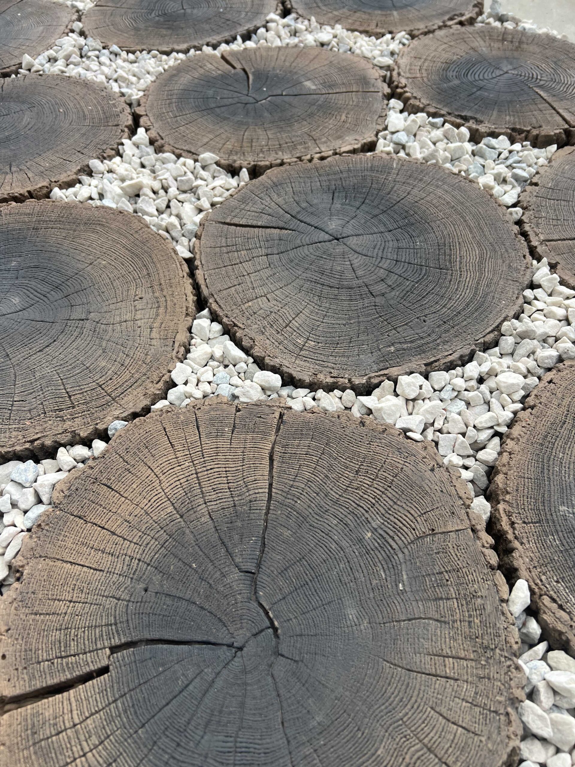 Płyta tarasowa betonowa Pień Mini - obrazek 2