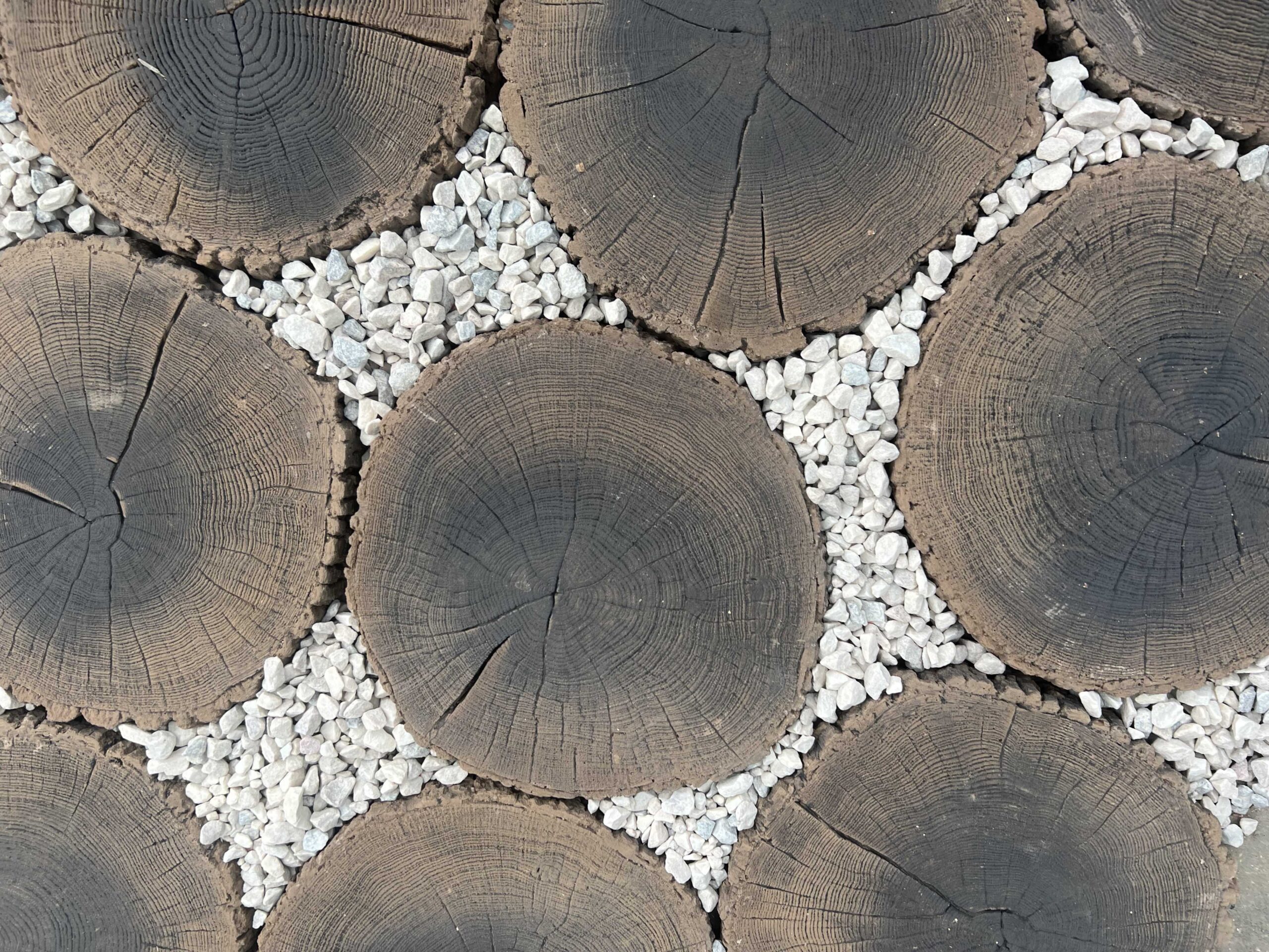 Płyta tarasowa betonowa Pień Mini - obrazek 3