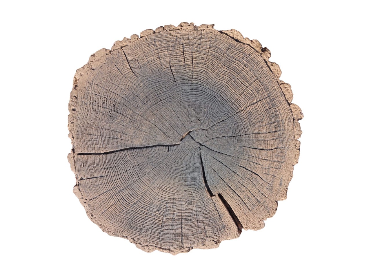 Płyta tarasowa betonowa Pień Mini